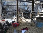 На Северном Кавказе жертвами вооруженного конфликта с 19 по 25 мая стали 13 человек